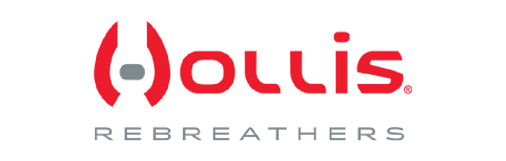 Website-Banners_Hollis-1.png